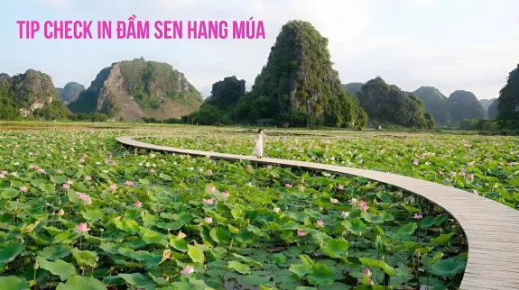 Check in hang múa 1111